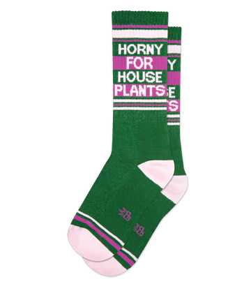 HORNY FOR HOUSE PLANTS