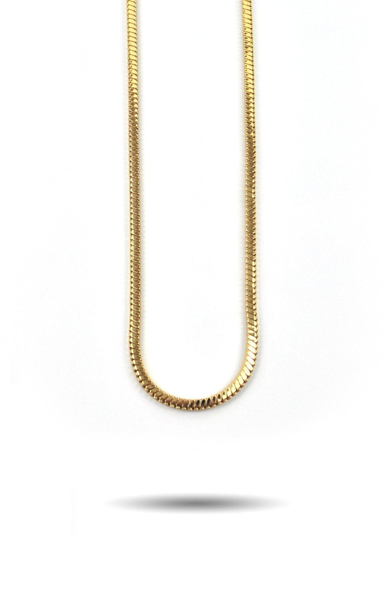 Snake Box Chain - The Gold Gods