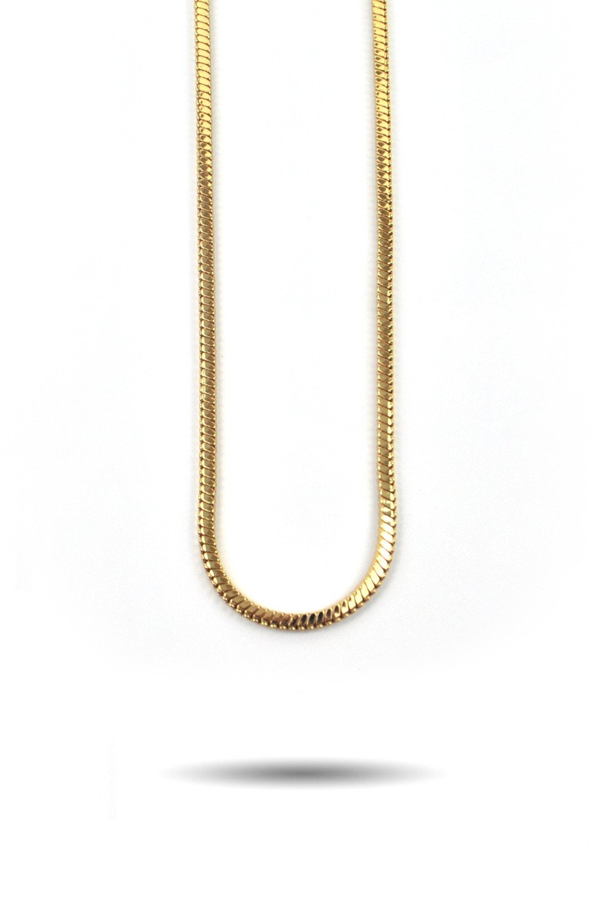 Snake Box Chain - The Gold Gods