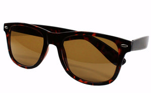 CA100A-LRG