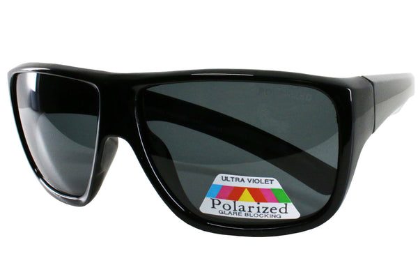 CA2011 Polarized